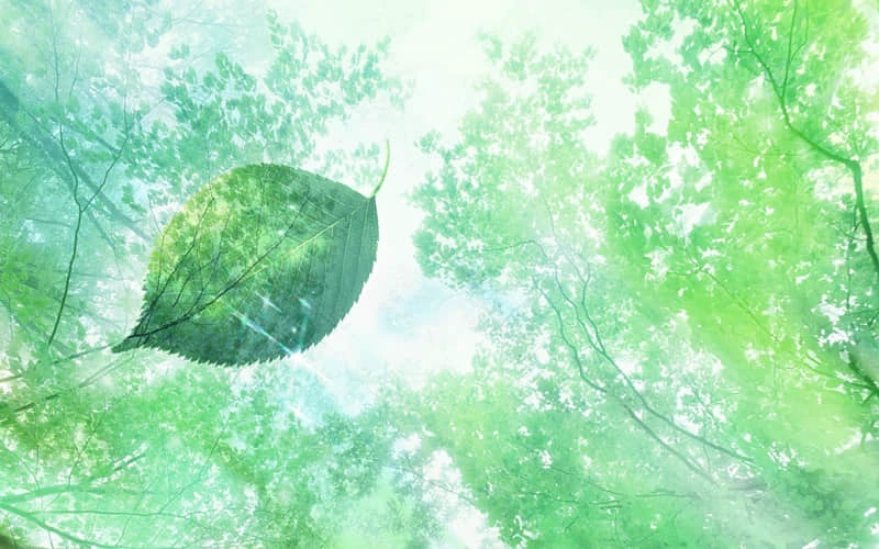 <a href=